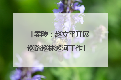 零陵：赵立平开展巡路巡林巡河工作